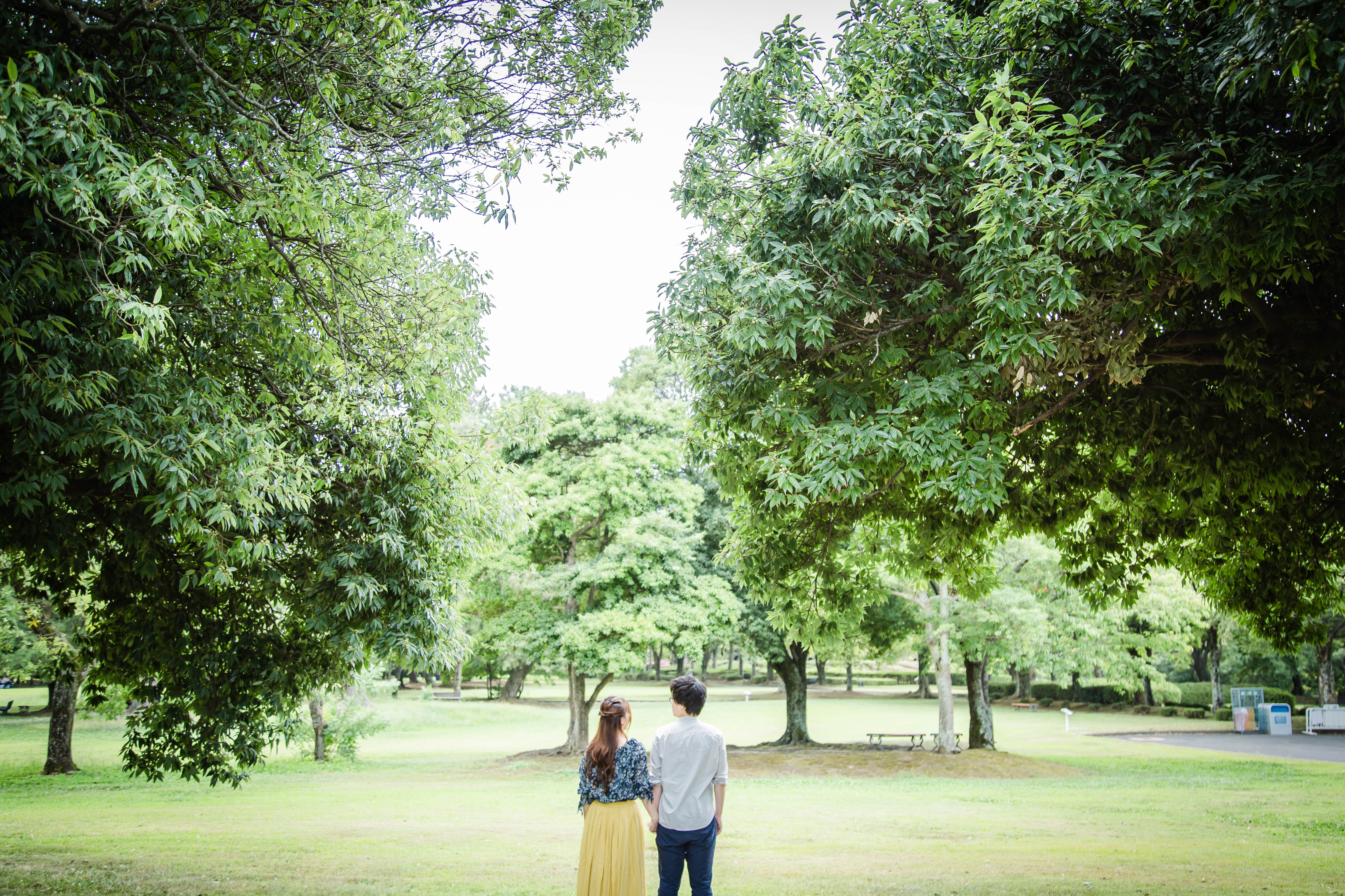 保護中: 20171014 保護中: 20171014