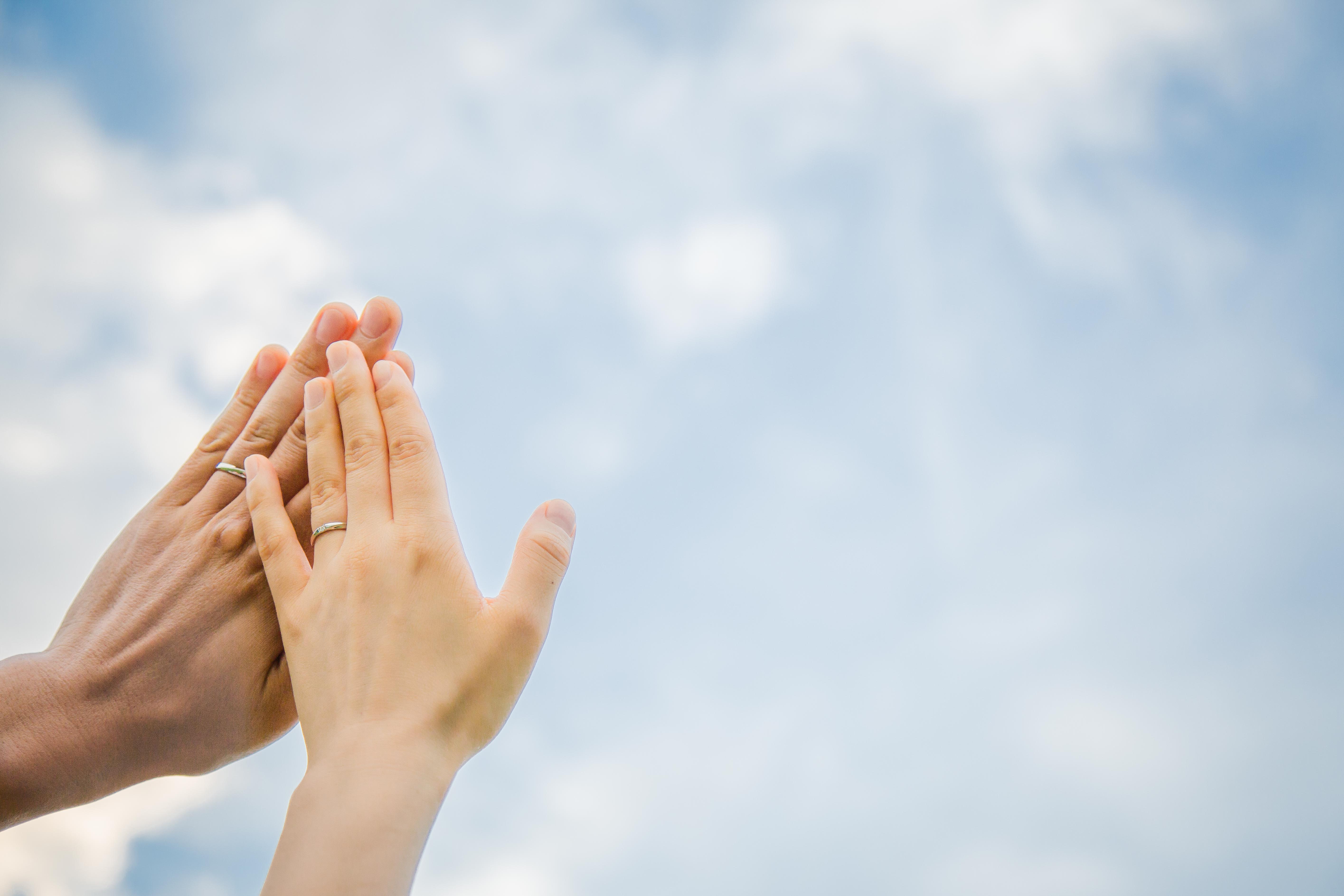 保護中: 20171007 保護中: 20171007