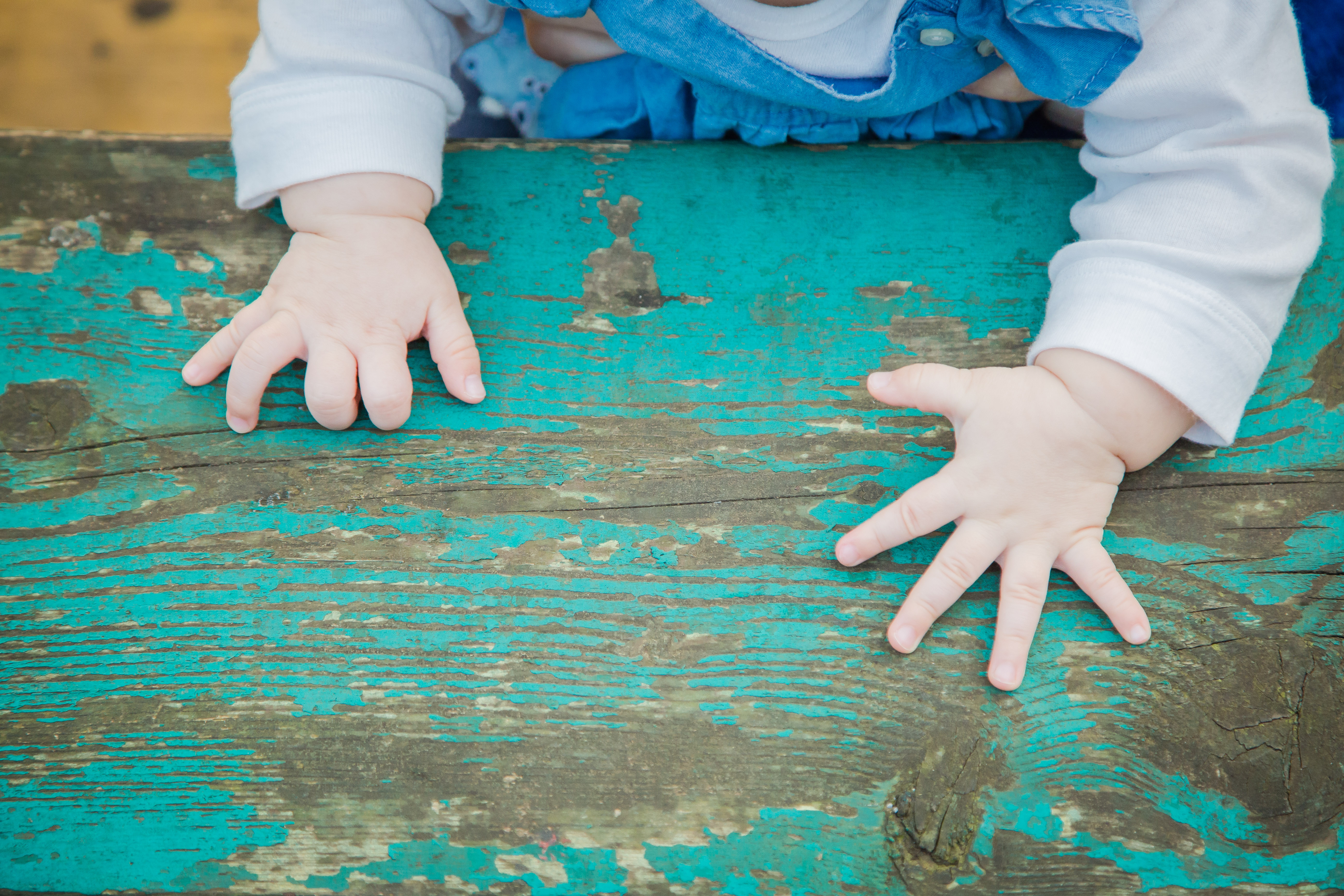 保護中: 20180220 保護中: 20180220