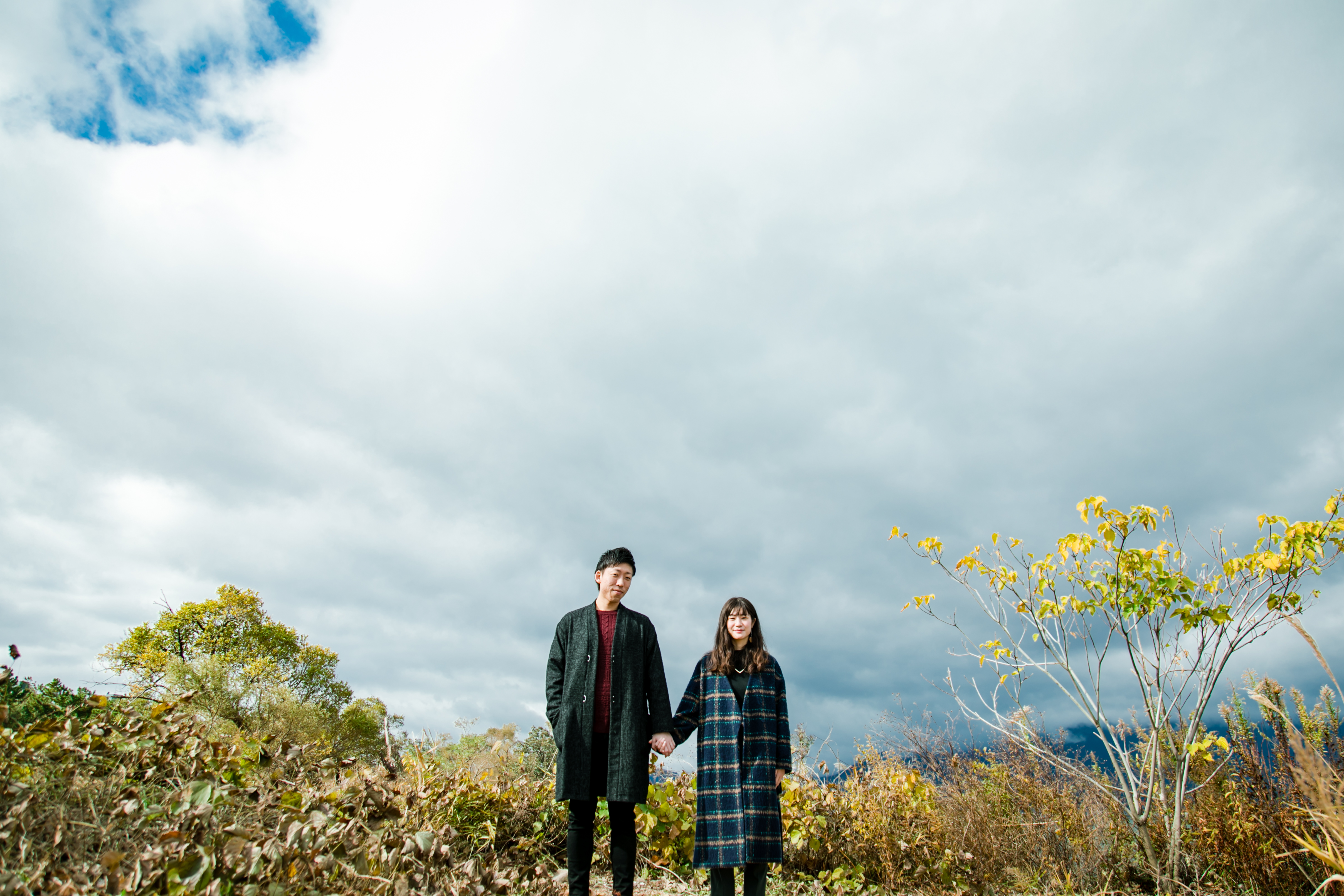 保護中: 20191222 保護中: 20191222